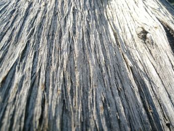 Full frame shot of wood