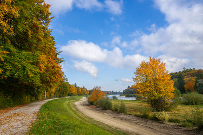 Road amidst trees against sky