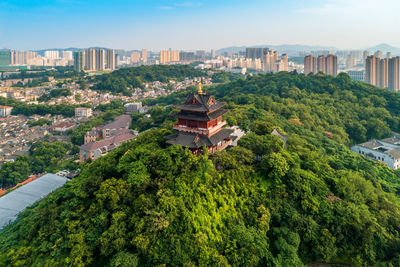 High angle view of trees and buildings in city