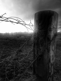 Close-up of barbed wire on field against sky