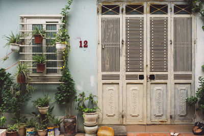 Potted plants against wall of house