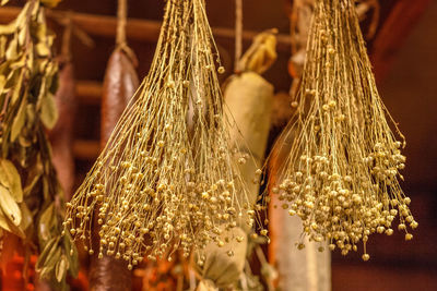 Close-up of dried plants for sale at market