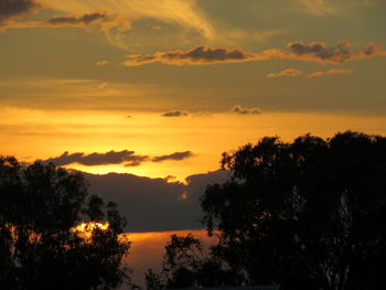 Silhouette trees against dramatic sky during sunset