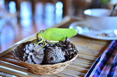 High angle view of bread in basket on table