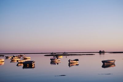Sailboats moored in sea against clear sky