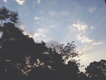 Low angle view of silhouette trees against sky