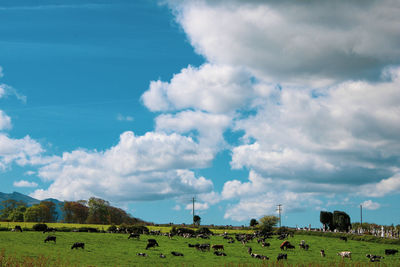 Scenic view of green landscape against sky