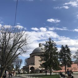 Trees in city against sky