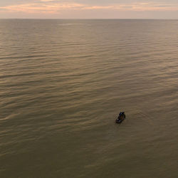 High angle view of duck swimming in sea