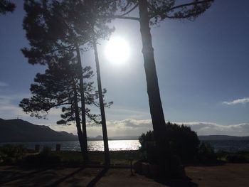 Silhouette of trees in lake against cloudy sky