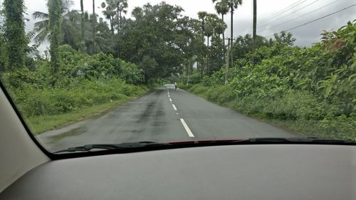 Road amidst trees against sky seen through car windshield