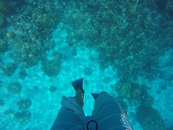 Low section of man standing in sea