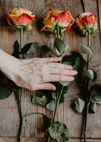 Person holding flowers on wood