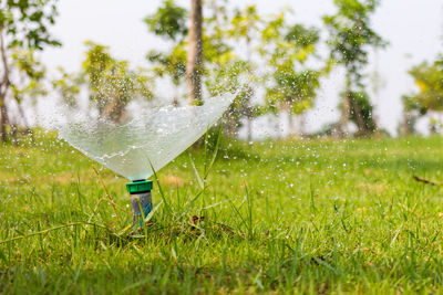 Water splashing on grass in field