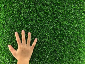 Close-up of hand on grass