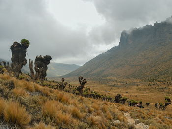 Scenic view of landscape against sky, mount kenya national park, kenya 