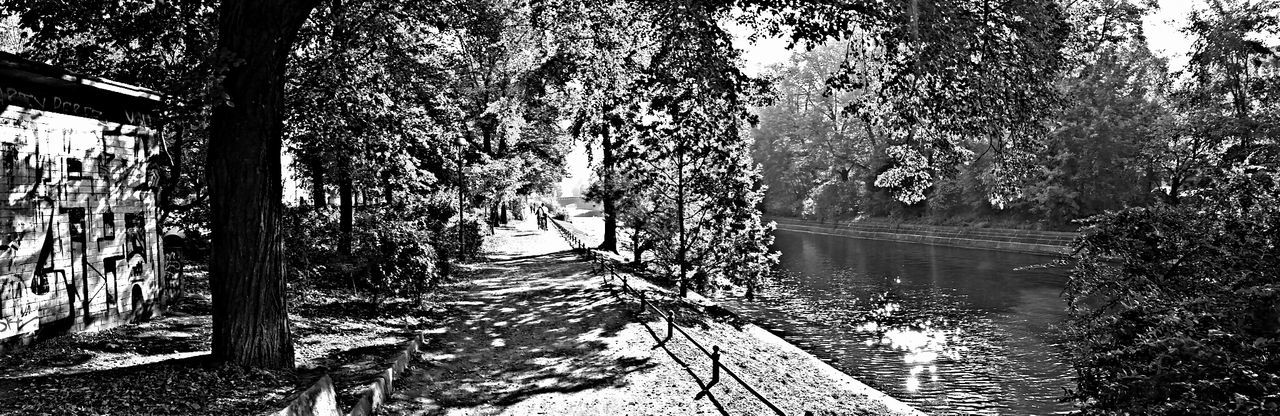 VIEW OF TREES BY RIVER