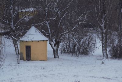 Bare trees on snow covered field by building