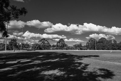 Trees on field against sky