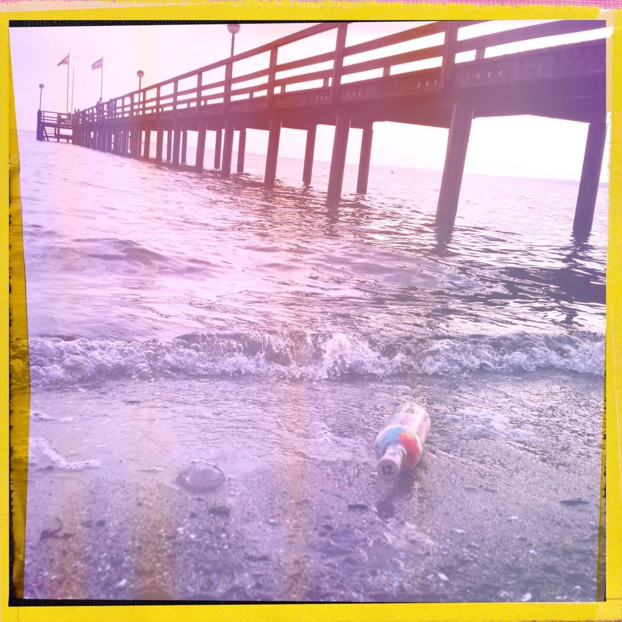 animal themes, water, transfer print, bird, one animal, animals in the wild, wildlife, auto post production filter, sea, domestic animals, beach, nature, shore, seagull, outdoors, pets, mammal, sunlight, pier, two animals