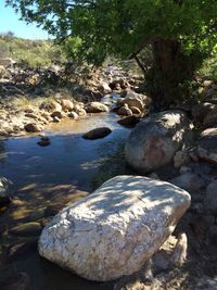 Rocks in river