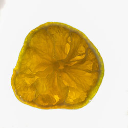 Directly above shot of lemon slice against white background