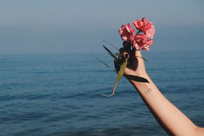 Cropped hand of woman holding flowers over sea against sky