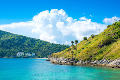 Panoramic shot of sea and trees against sky