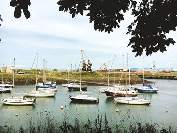 Boats moored in harbor