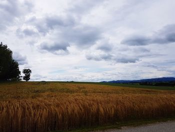 Scenic view of field against sky