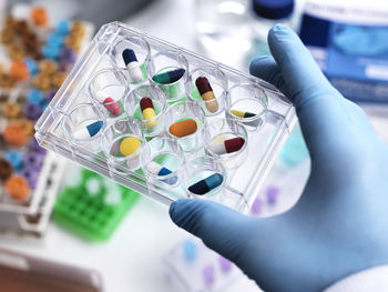 Pharmaceutical research, scientist holding a multi well plate containing drugs to be tested in the laboratory