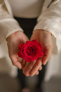 Close-up of hand holding red rose