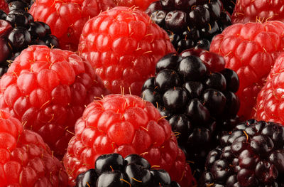 Full frame shot of raspberries