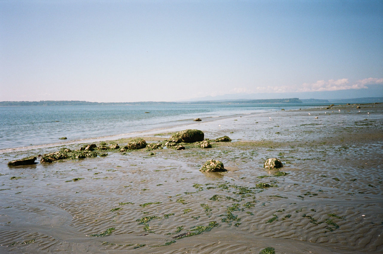 SCENIC VIEW OF BEACH