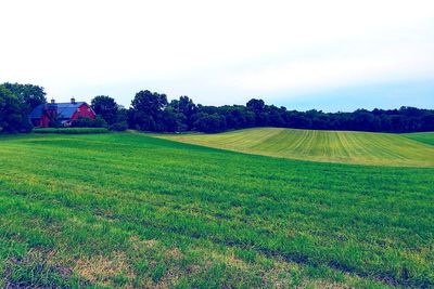 Scenic view of agricultural field against sky