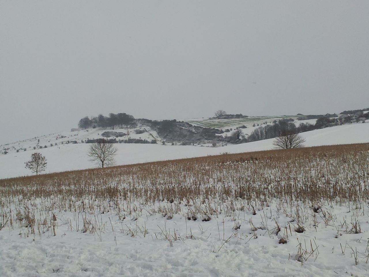 Salisbury snow