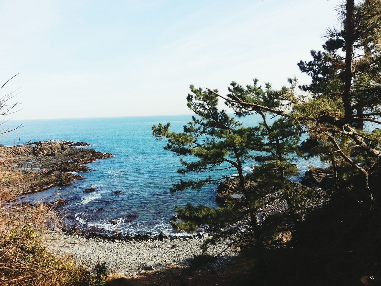 water, sea, tranquility, tranquil scene, scenics, horizon over water, beauty in nature, nature, sky, tree, clear sky, beach, idyllic, shore, day, remote, rock - object, outdoors, non-urban scene, no people