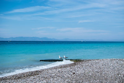 Scenic view of sea against blue sky