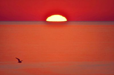 Close-up of red wall at sunset