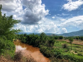 Scenic view of landscape against sky