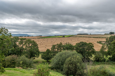 Scenic view of land against sky