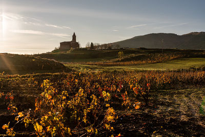 A beautiful sunrise on the camino de santiago in ventosa. december, 2019.