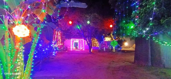 Illuminated christmas lights and trees in city at night