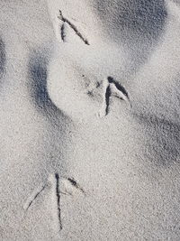 High angle view of footprints on sand