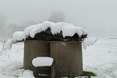 Snow covered birds against the sky