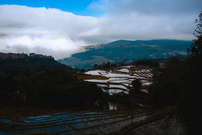 Scenic view of agricultural field against sky