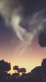 Low angle view of trees against sky at sunset