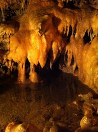 Close-up of cave