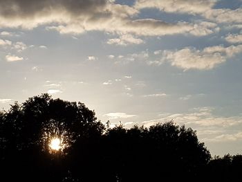 Low angle view of silhouette trees against sky during sunset