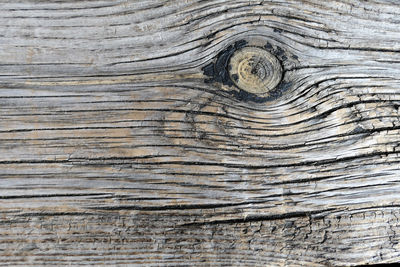Full frame shot of wood